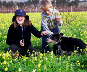 The kids and dog playing in soursob